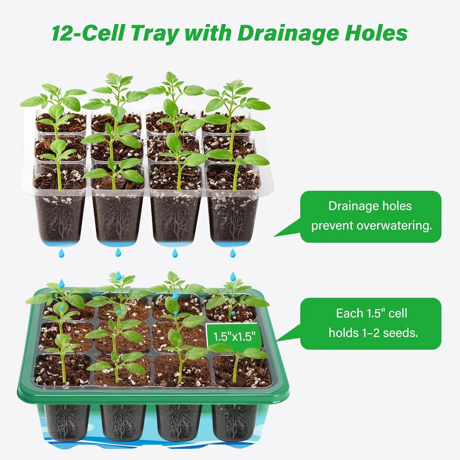 ถาดเพาะเมล็ดแบบ 6/12 ช่อง พร้อ - Dome Propagation Kit บทวิจารณ์และราคา