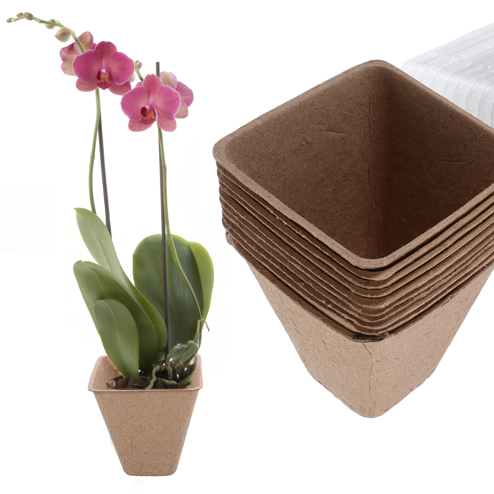 ชุดกระถางเพาะต้นกล้าแบบยั่งยืน - Dome Propagation Kit บทวิจารณ์และราคา