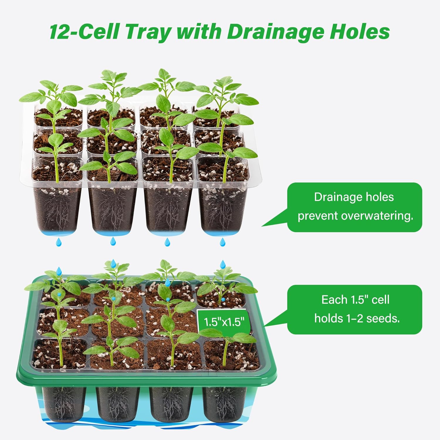 ชุดเริ่มต้นเพาะเมล็ดพร้อมถาดเพ - Dome Propagation Kit บทวิจารณ์และราคา