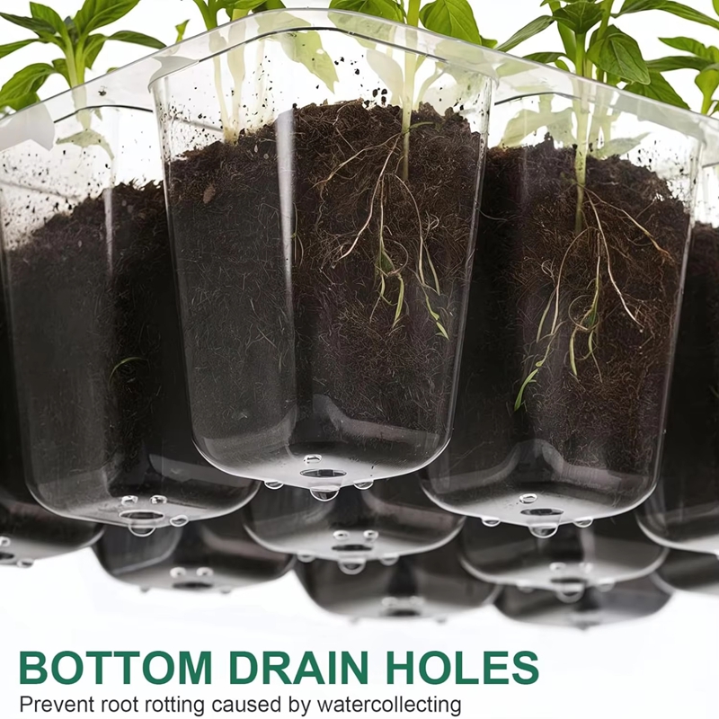 ถาดเพาะเมล็ดพร้อมชุดเรือนเพาะช - Dome Propagation Kit บทวิจารณ์และราคา